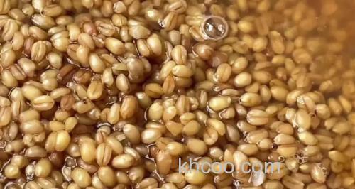 用麦子做鱼饵能钓什么鱼？