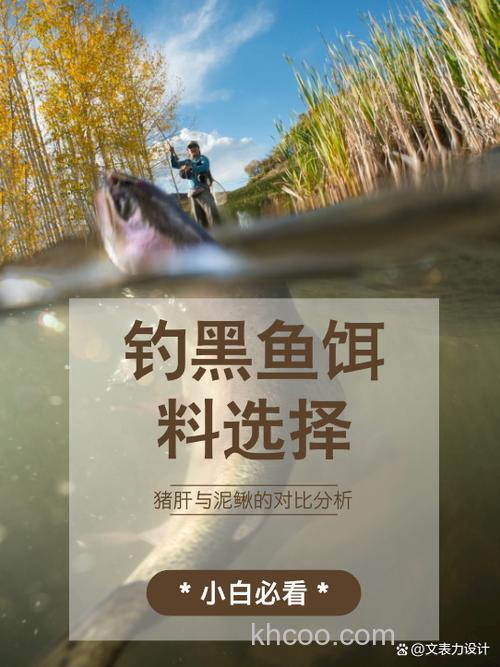 用泥鳅当鱼饵钓黑鱼的技巧分析