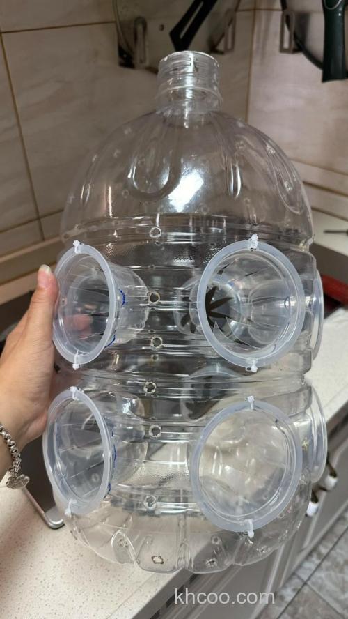 自制捕鱼瓶用什么饵料？