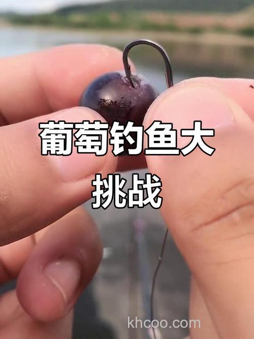 饵料里加葡萄糖钓鱼效果怎么样？