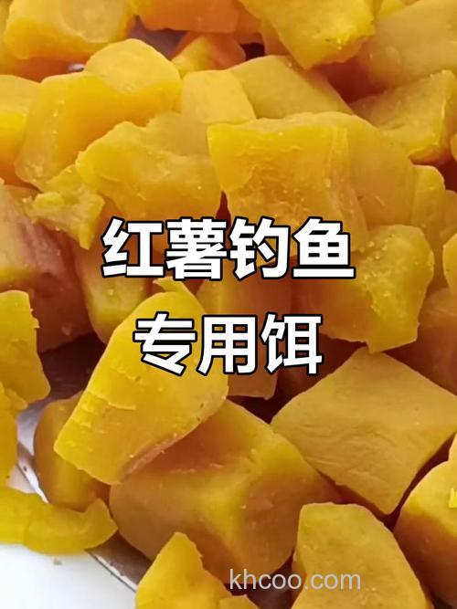 红薯钓鱼加什么饵