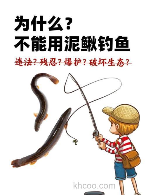 夏季如何用泥鳅钓黑鱼的一些技巧