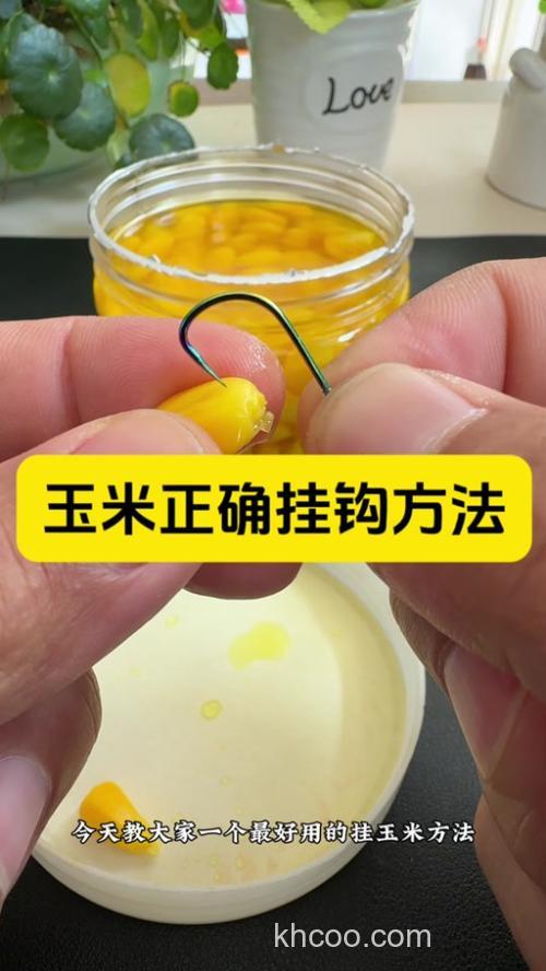 鲜玉米粒钓鱼泡制方法？