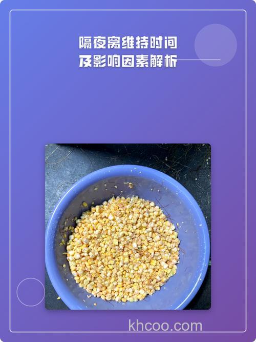 隔夜窝能维持多长时间?隔夜窝几点打几点钓？