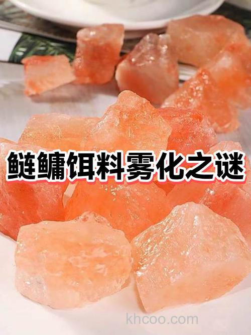 浮钓鲢鱼的饵料要不要家拉丝粉？不家雾化太快怎么办？