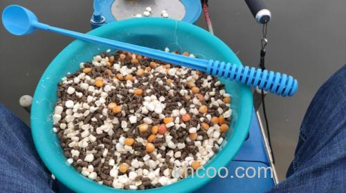 玉米面打窝全解析：好用与否及打窝技巧