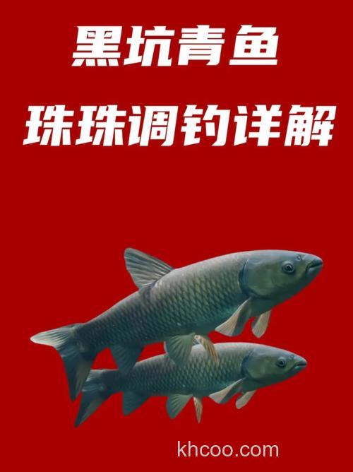 黑坑珠珠钓草鱼绝招？