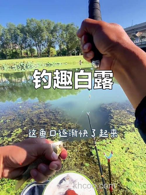 白露之后钓鱼在水的深处还是浅处？