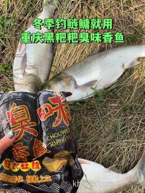 鲢鳙黑粑粑是怎样自制的？