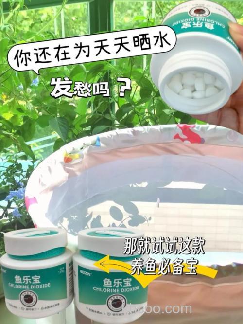 谁用过鱼宝万能药啊.治白点的.那个怎么用啊.需要把鱼捞出来么?什么时候在把鱼放进去啊.急啊