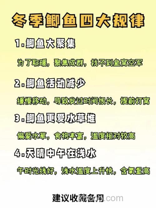 冬季竞技钓鲫鱼··需要注意哪些问题？