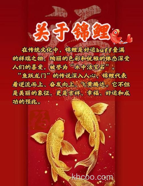 中国锦鲤的起源？