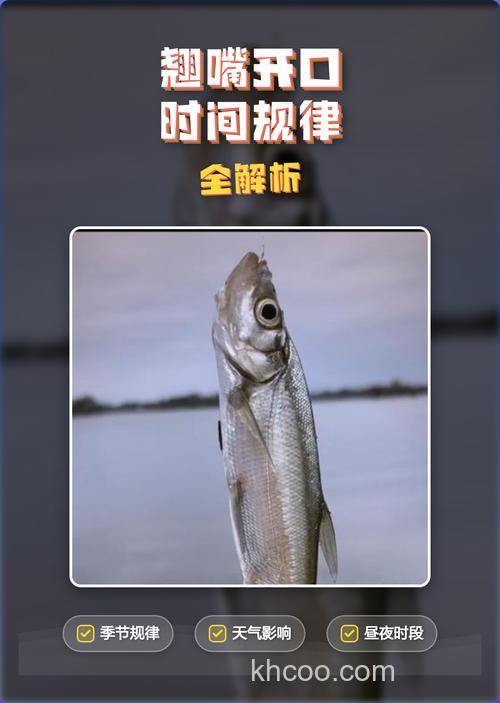 翘嘴一天最佳开口时间什么时候？