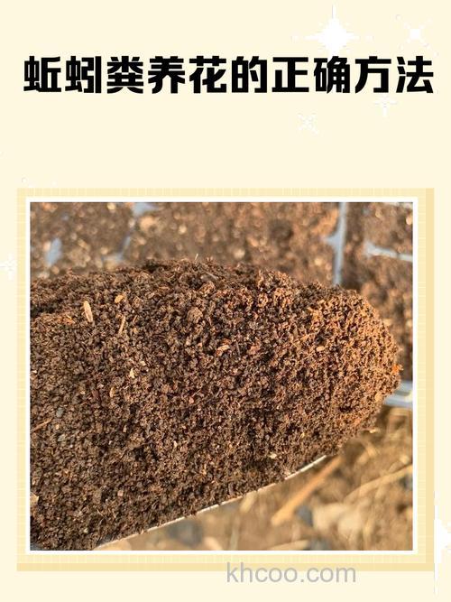 豆腐渣养蚯蚓配方？