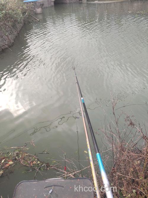 降温当天好钓鱼还是头天好钓鱼呢？