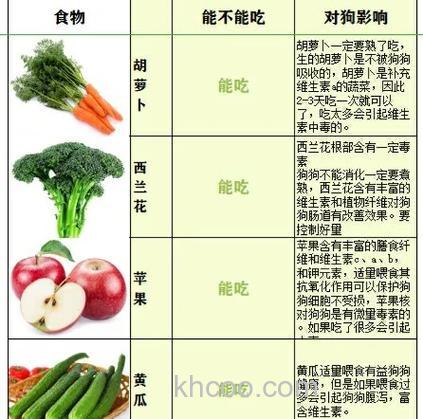 肉和蔬菜哪个更容易消化