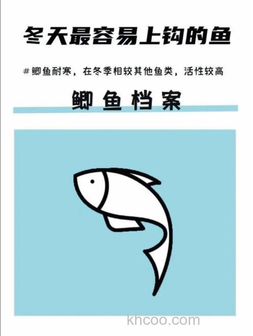 鱼最爱吃什么会上钩