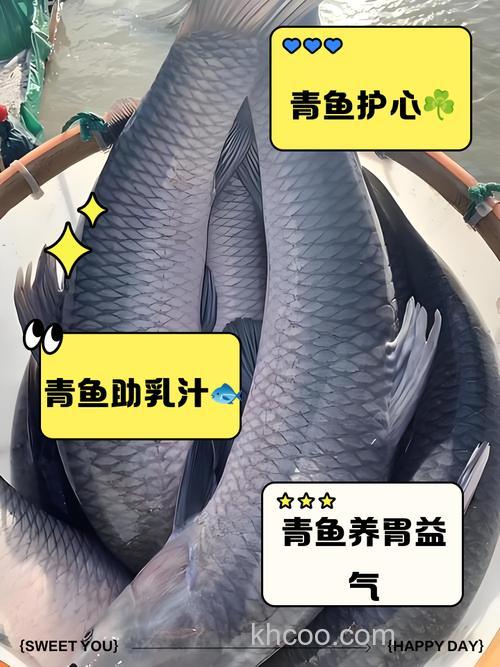 果酸对青鱼有效吗