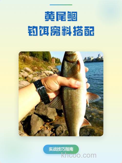 求助钓黄尾 密鲴的好钓饵和窝料 红虫除外