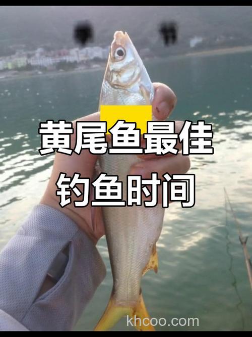 紧水怎么筏钓黄尾巴