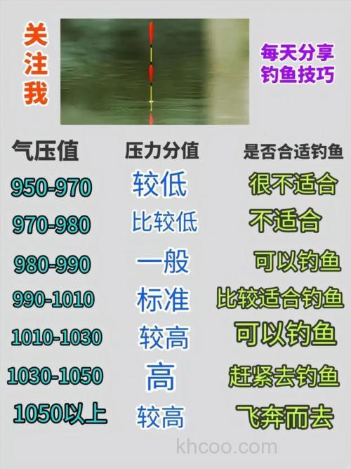 溶氧量低如何钓鱼？