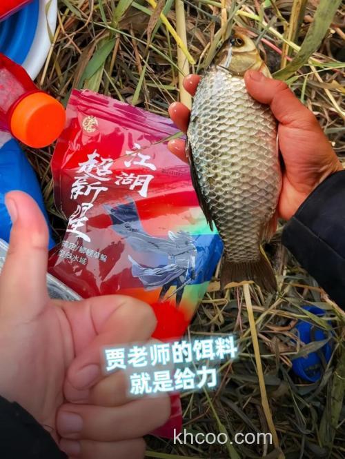 江湖钓鱼用偏香或偏腥好