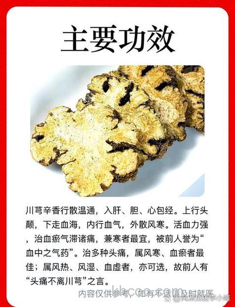 川芎酒钓鲤鱼几月份最好？