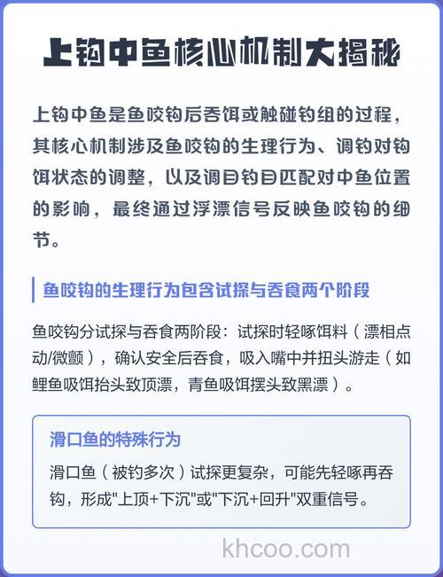 钓鱼上钩中鱼是什么原因？