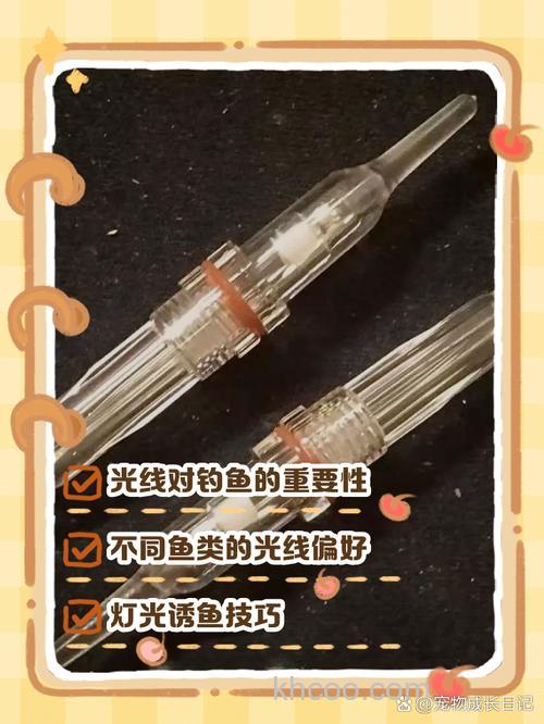 如何使用灯光诱鱼？