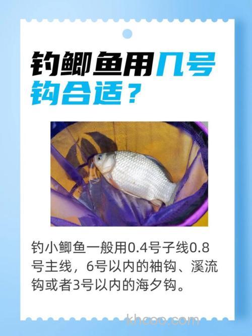 鲢鳙竿钓鲫鱼好用吗？