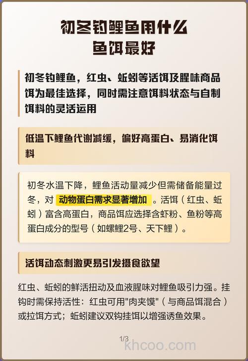 钓鲤鱼用什么做鱼饵好？