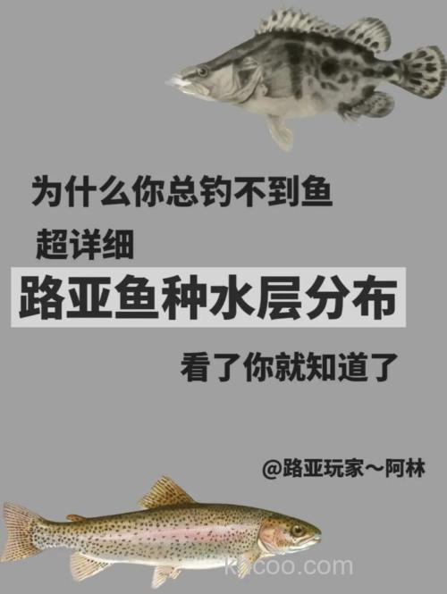 为什么你总是钓不到鱼？