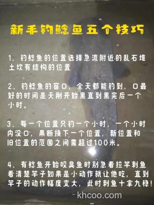 野钓鲶鱼的六个技巧钓法详解