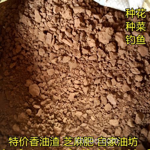 香油和面钓鱼绝密配方？