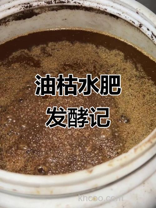 油枯和豆渣一起的发酵比例？