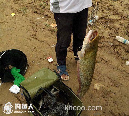 爆炸钩挂白条巧钓鲶鱼技巧