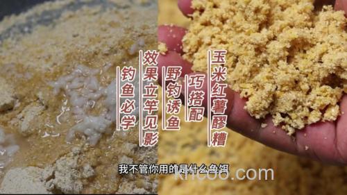 醪糟泡玉米钓鱼方法？