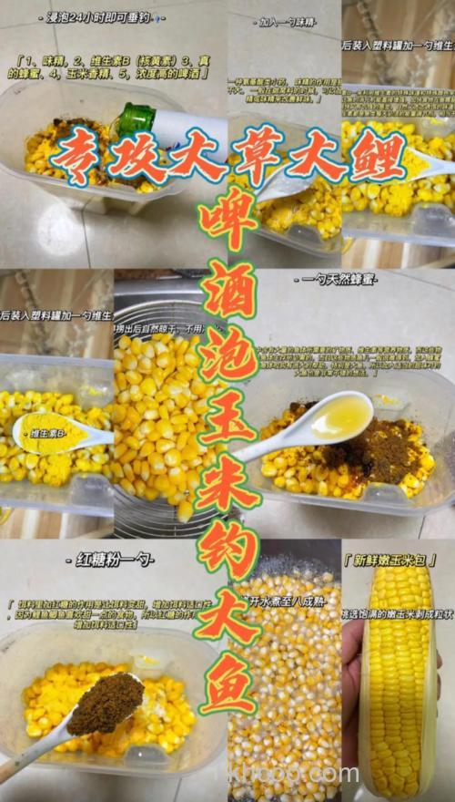 玉米怎么泡制钓鱼饵料？
