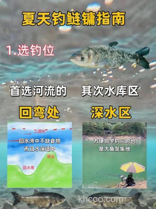 夏钓鲶鱼的选时选位及钓法技巧