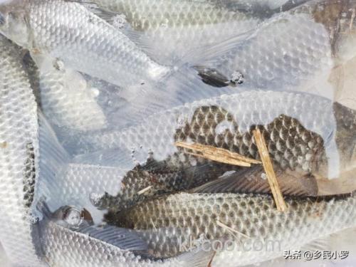 近期生产的湖北产地的918和蓝鲫鱼饵，会不会带有新型冠状病毒？