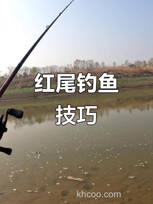 钓红尾的配方？