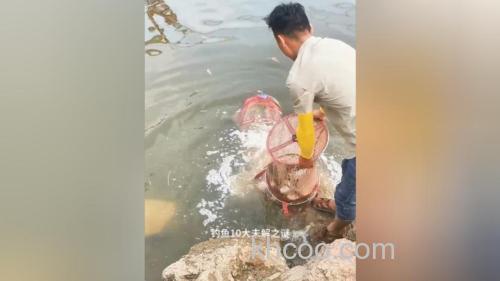 为什么大多数喜欢钓鱼的人却不喜欢吃鱼？