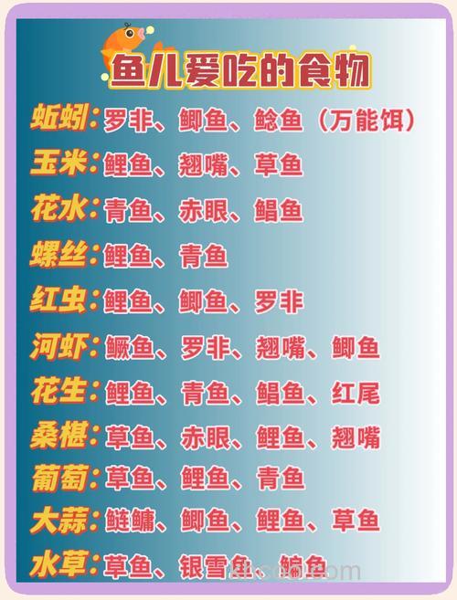 介绍几款钓鲤鱼的饵料？