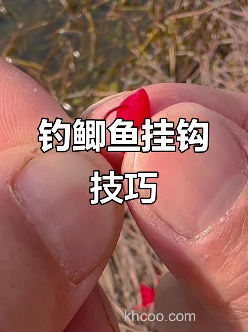 有什么办法可以使鱼钩能够挂酒米钓鱼？