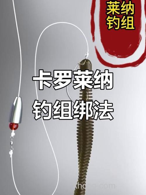 看看职业选手如何看待卡罗莱纳钓组