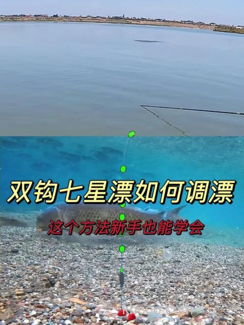 七星漂双钩调漂的正确方法与技巧有哪些?