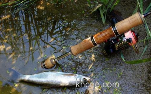 休闲游钓之山溪路亚漫谈