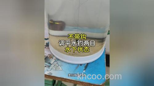 不带钩调平水钓2目鱼钩在水下的状态？