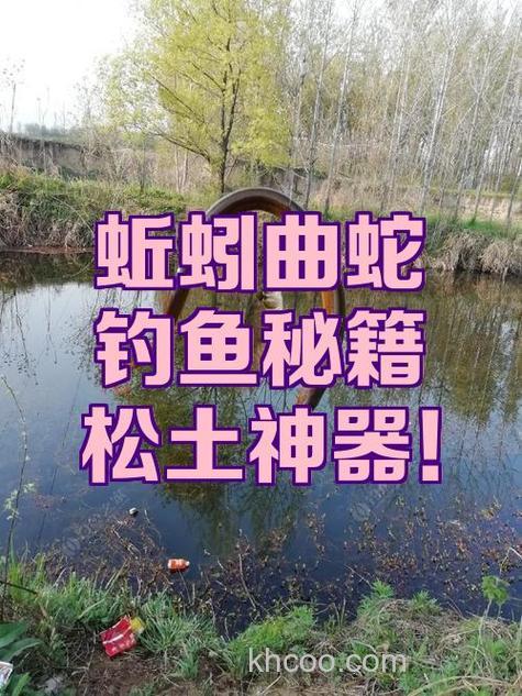 钓鱼的曲六是什么