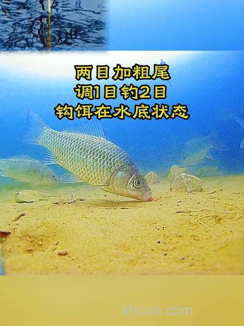 调一钓二钩在水底状态是怎样的？
